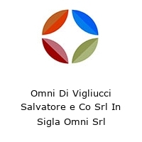 Logo Omni Di Vigliucci Salvatore e Co Srl In Sigla Omni Srl