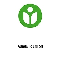 Logo Auriga Tours Srl