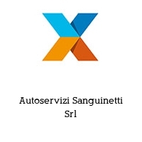 Logo Autoservizi Sanguinetti Srl