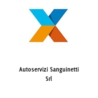 Autoservizi Sanguinetti Srl