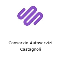 Logo Consorzio Autoservizi Castagnoli