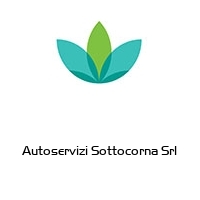 Logo Autoservizi Sottocorna Srl