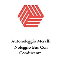 Autonoleggio Merelli Noleggio Bus Con Conducente 