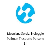 Logo Mesulana Servizi Noleggio Pullman Trasporto Persone Srl