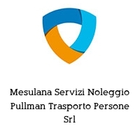 Logo Mesulana Servizi Noleggio Pullman Trasporto Persone Srl