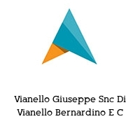 Logo Vianello Giuseppe Snc Di Vianello Bernardino E C