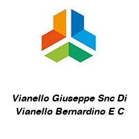 Logo Vianello Giuseppe Snc Di Vianello Bernardino E C