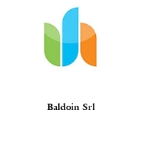 Logo Baldoin Srl