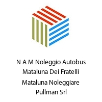 Logo N A M Noleggio Autobus Mataluna Dei Fratelli Mataluna Noleggiare Pullman Srl