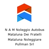 Logo N A M Noleggio Autobus Mataluna Dei Fratelli Mataluna Noleggiare Pullman Srl