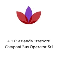 Logo A T C Azienda Trasporti Campani Bus Operator Srl