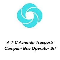 A T C Azienda Trasporti Campani Bus Operator Srl