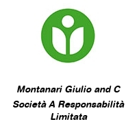 Logo Montanari Giulio and C Società A Responsabilità Limitata