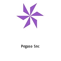 Pegaso Snc