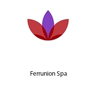 Logo Ferrunion Spa