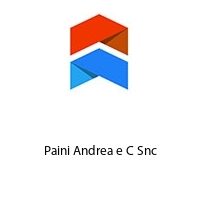 Logo Paini Andrea e C Snc