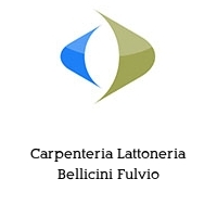 Carpenteria Lattoneria Bellicini Fulvio