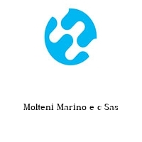 Logo Molteni Marino e c Sas