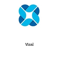 Logo Visal