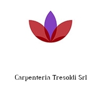 Logo Carpenteria Tresoldi Srl