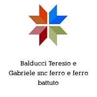 Logo Balducci Teresio e Gabriele snc ferro e ferro battuto