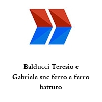 Logo Balducci Teresio e Gabriele snc ferro e ferro battuto