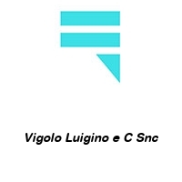 Logo Vigolo Luigino e C Snc