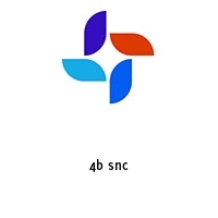 Logo 4b snc