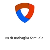 Logo Bs di Barbaglia Samuele 