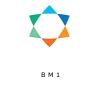 Logo B M 1