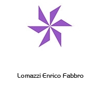 Logo Lomazzi Enrico Fabbro