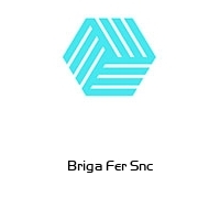 Logo Briga Fer Snc