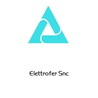 Logo Elettrofer Snc