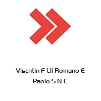 Logo Visentin F Lli Romano E Paolo S N C