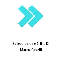 Logo Solesoluzione S R L Di Marco Caselli