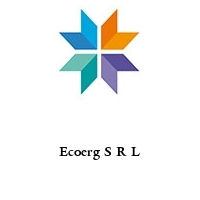 Logo Ecoerg S R L