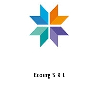 Ecoerg S R L