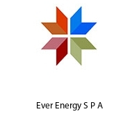 Logo Ever Energy S P A