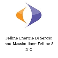 Felline Energie Di Sergio and Massimiliano Felline S N C