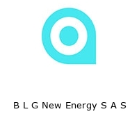 B L G New Energy S A S