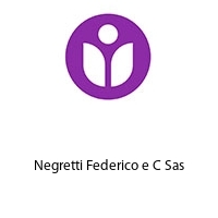 Logo Negretti Federico e C Sas