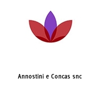 Logo Annostini e Concas snc 