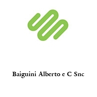 Logo Baiguini Alberto e C Snc
