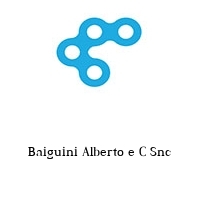 Logo Baiguini Alberto e C Snc