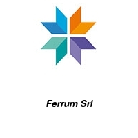 Logo Ferrum Srl