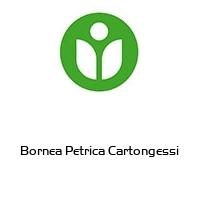 Bornea Petrica Cartongessi