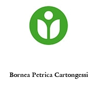 Logo Bornea Petrica Cartongessi