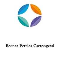 Logo Bornea Petrica Cartongessi