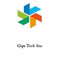 Logo Gips Teck Snc