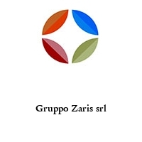 Logo Gruppo Zaris srl